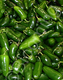 Capsicum annuum 'Jalapeno Goliath'